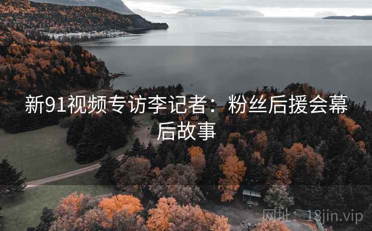 新91视频专访李记者：粉丝后援会幕后故事