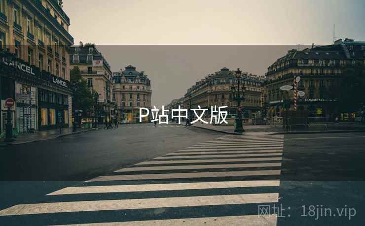 P站中文版