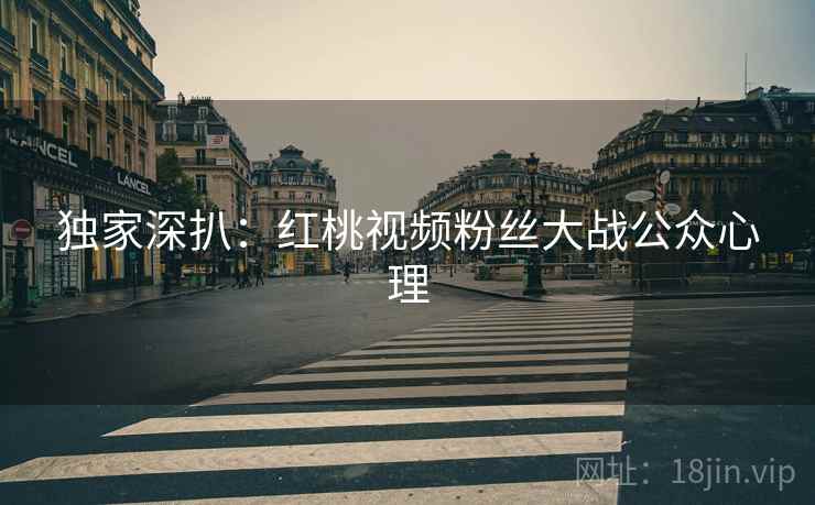 独家深扒:红桃视频粉丝大战公众心理