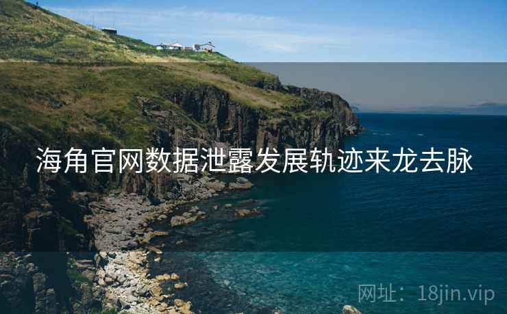 海角官网数据泄露发展轨迹来龙去脉