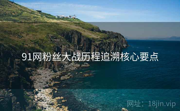 91网粉丝大战历程追溯核心要点