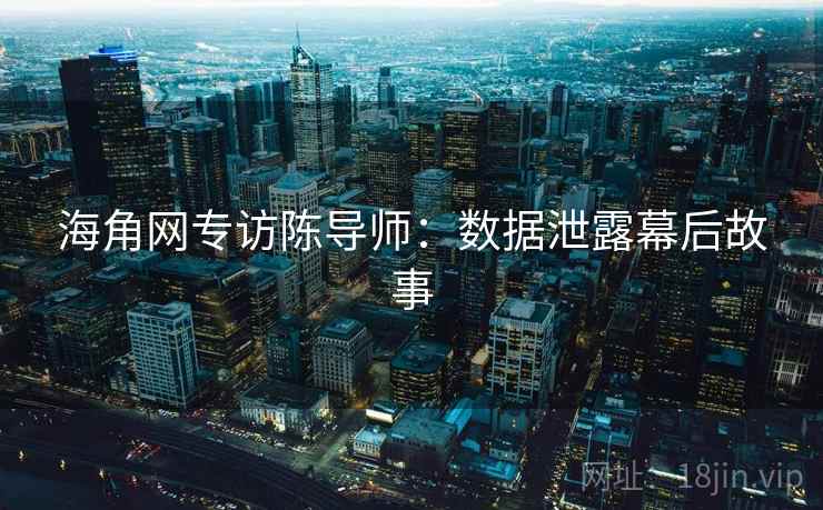 海角网专访陈导师：数据泄露幕后故事