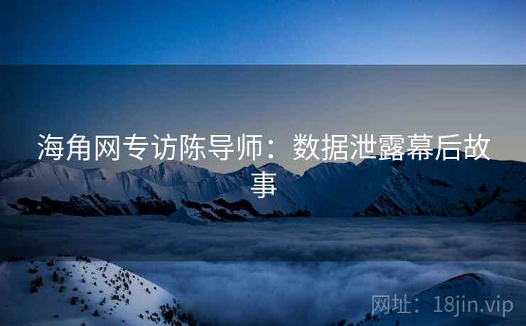海角网专访陈导师：数据泄露幕后故事
