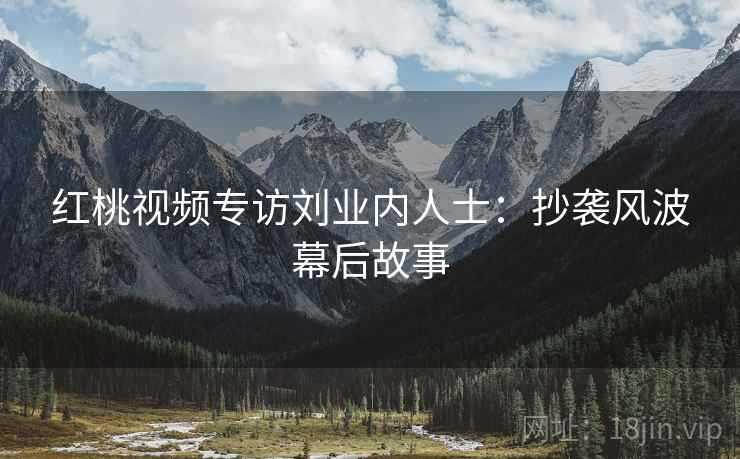 红桃视频专访刘业内人士：抄袭风波幕后故事