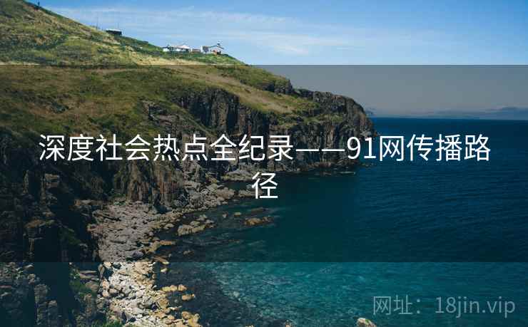 深度社会热点全纪录——91网传播路径