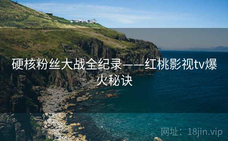硬核粉丝大战全纪录——红桃影视tv爆火秘诀