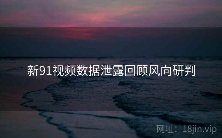 新91视频数据泄露回顾风向研判