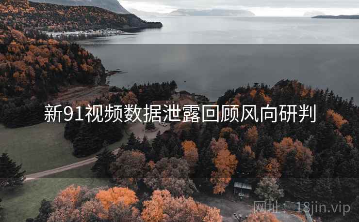 新91视频数据泄露回顾风向研判