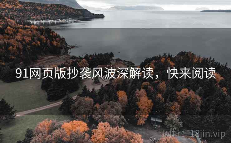 91网页版抄袭风波深解读，快来阅读