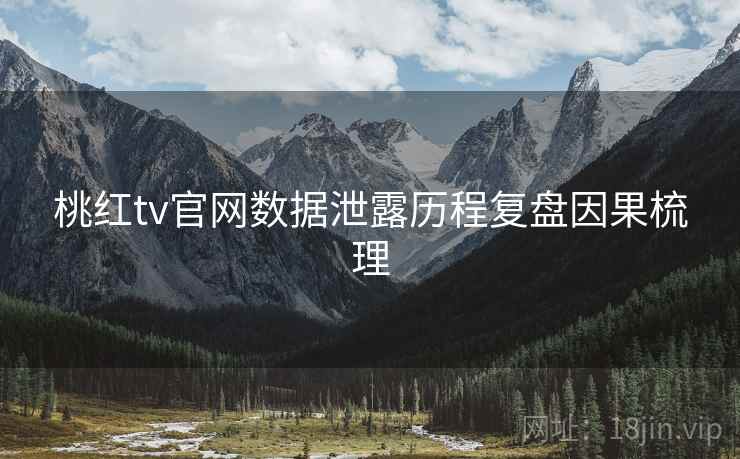 桃红tv官网数据泄露历程复盘因果梳理