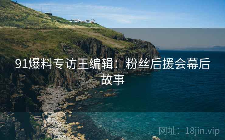 91爆料专访王编辑：粉丝后援会幕后故事