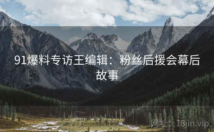 91爆料专访王编辑：粉丝后援会幕后故事