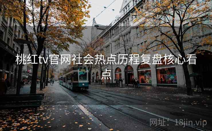 桃红tv官网社会热点历程复盘核心看点