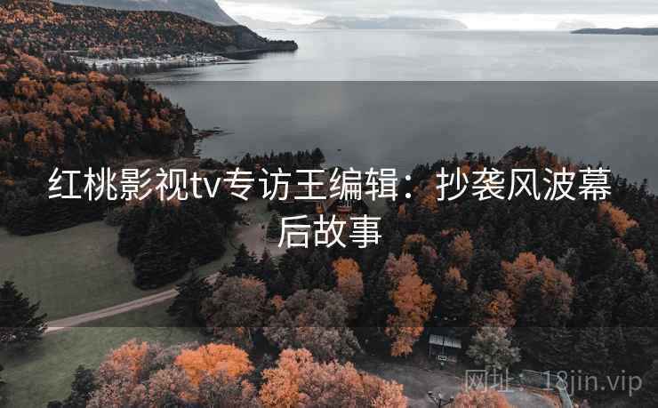 红桃影视tv专访王编辑：抄袭风波幕后故事
